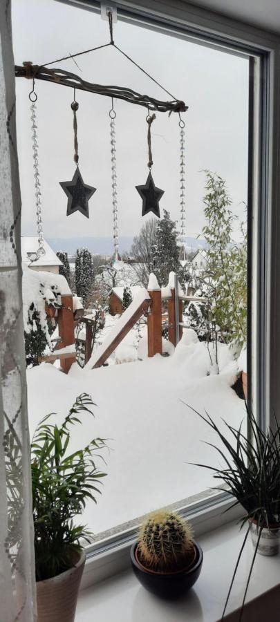 Appartment Fasanenhof Klinikum Und Uni Nah Mit Netflix Kassel Exterior foto